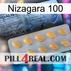 Nizagara 100 44